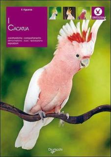 I cacatua - gianni ravazzi