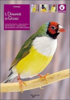 Il diamante di Gould - Michel Bolzinger