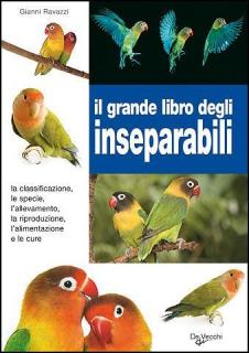 Il grande libro degli inseparabili - Gianni Ravazzi