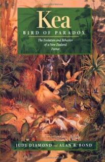 Kea, Bird of Paradox: Evolution Behavior New Zealand Parrot  - Judy Diamond 