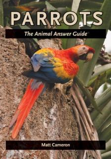 Parrots: The Animal Answer Guide  - Matt Cameron 