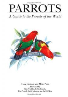 Parrots - Mike Parr