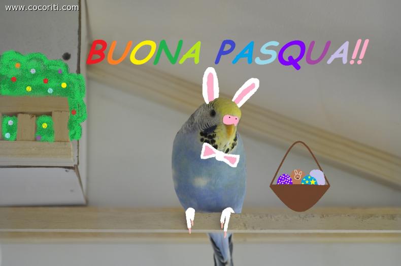 buona pasqua