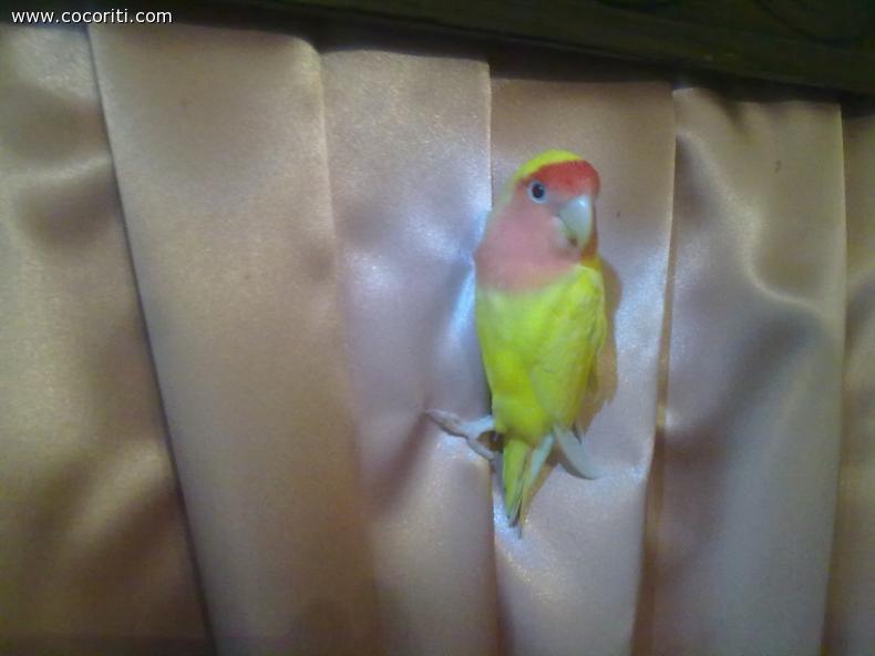 il mio top model ;)