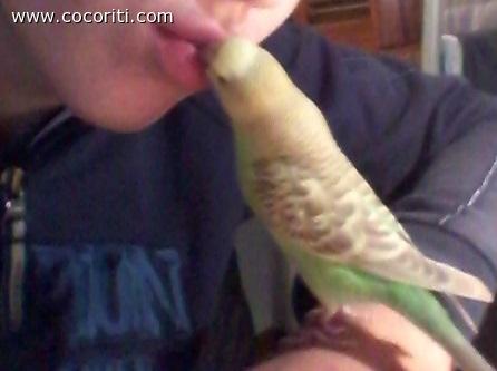 Il suo primo bacio