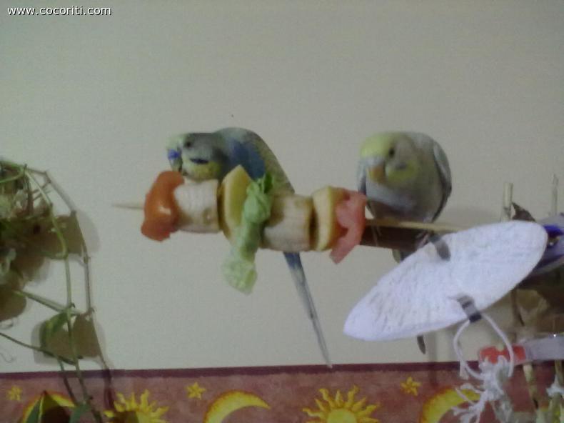 evvai con gli spiedini di frutta e insalata!!!!