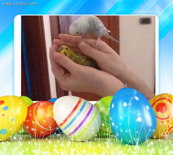 Sorpresa! dentro l'uovo di Pasqua...