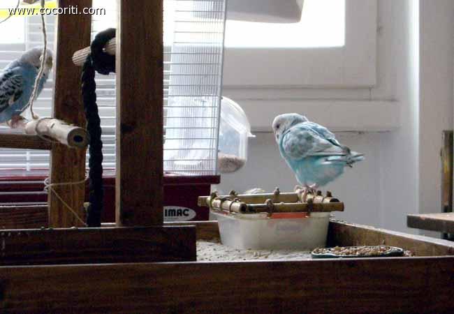 Betty fa il bagno
