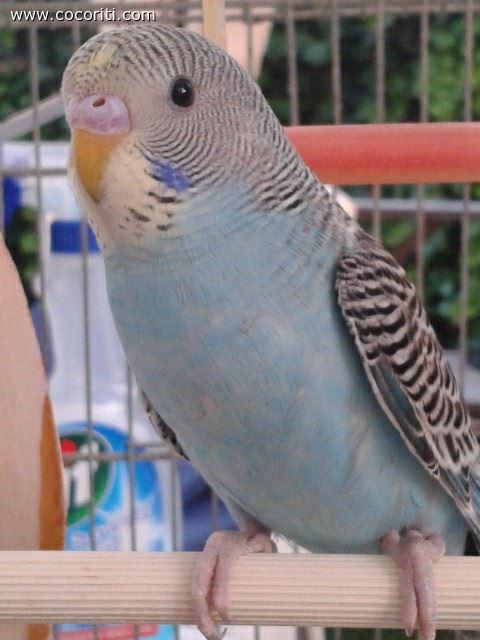 Rio