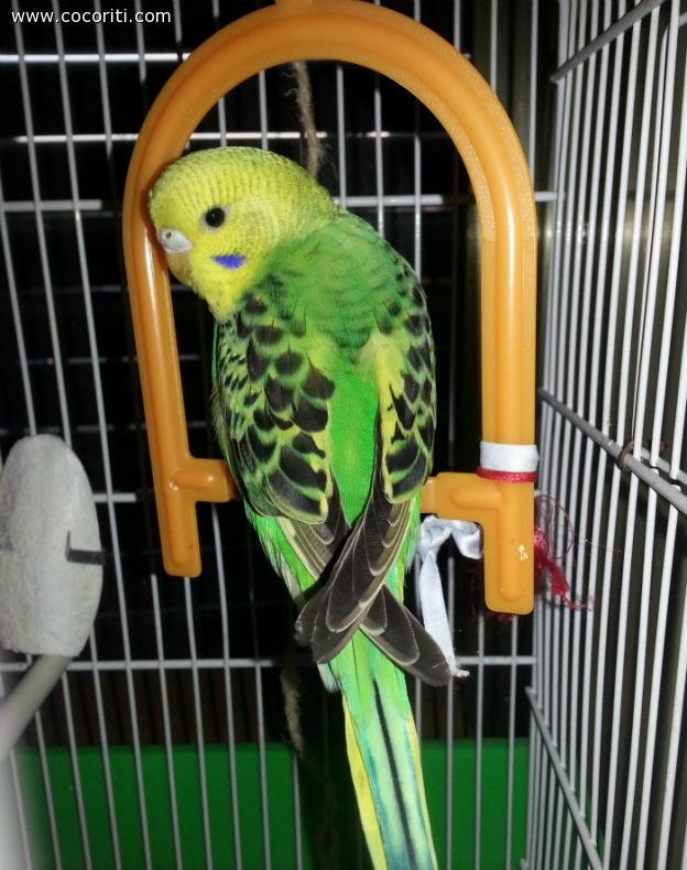 L'eleganza :D