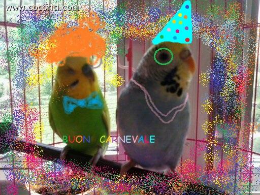 Buon Carnevale
