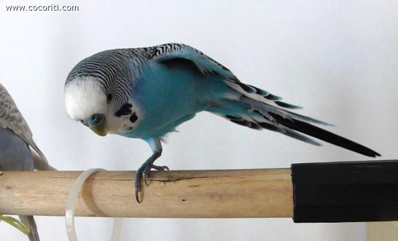 Un po' di stretching