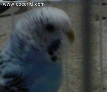 ginaaaaa