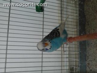 new entry