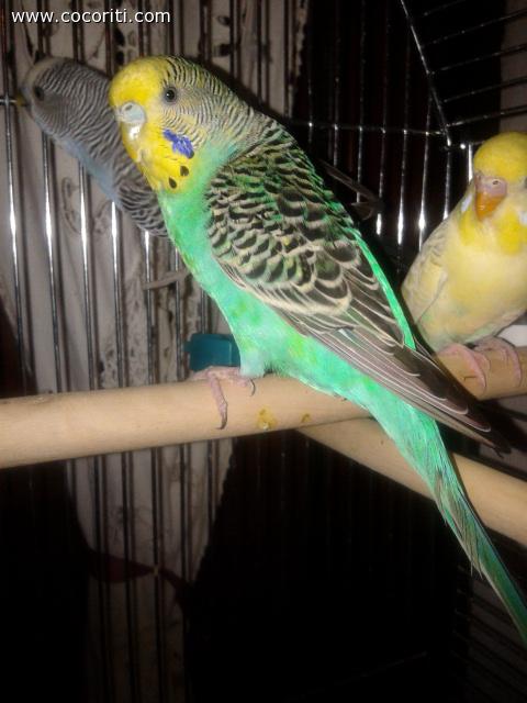 new entry