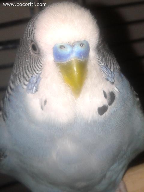pallino cresce !!!