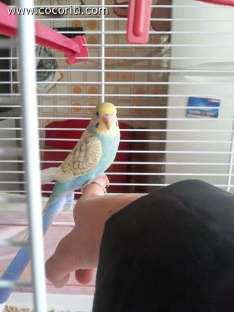 carletto sul ditino :)