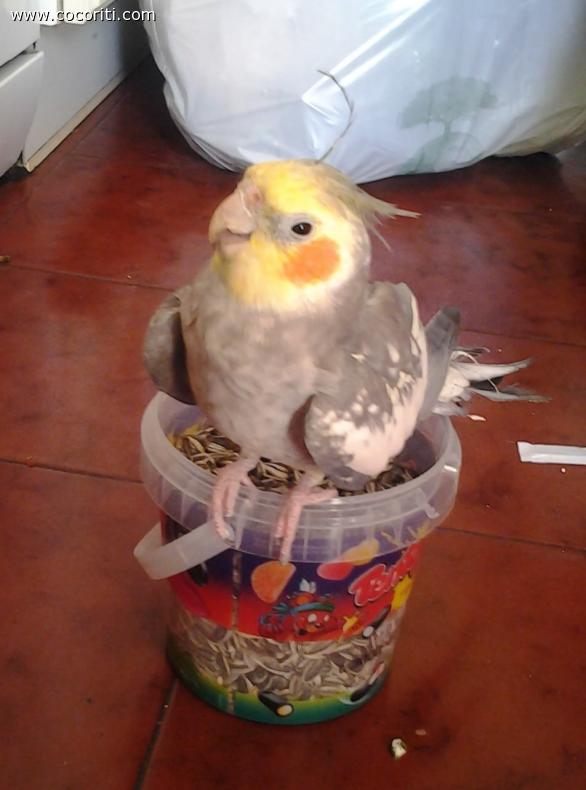 *-*