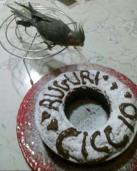 Il primo compleanno di Ciccia :)