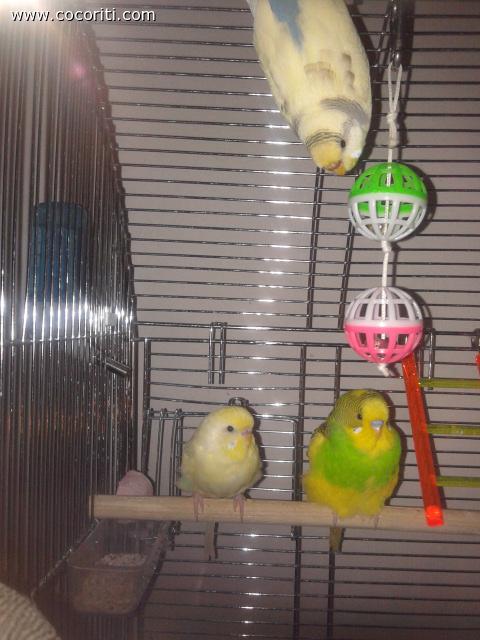 hei laggiuuuu