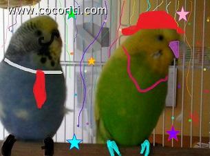 Buon Carnevale a tutti!!!