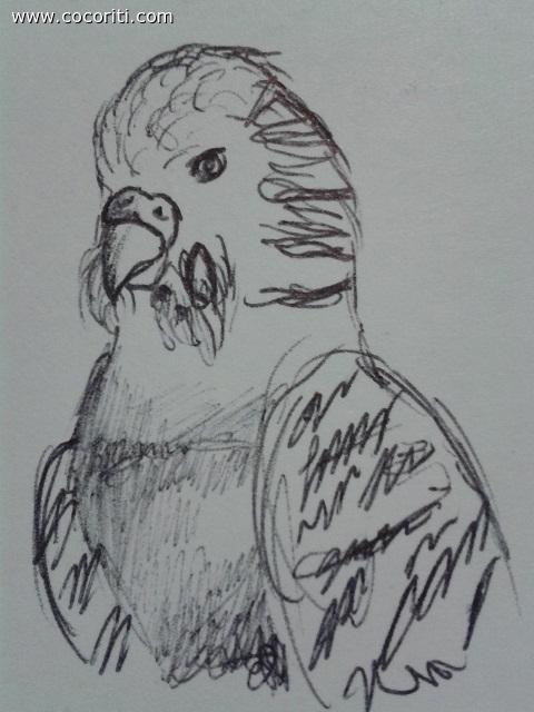 ritratto
