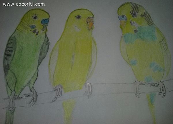 Disegno fatto da me...