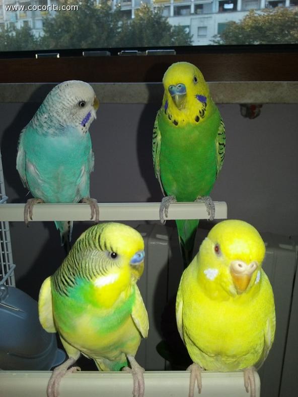ora siamo al completo!!
