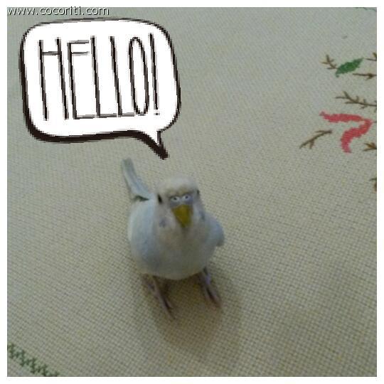 Un salutino..