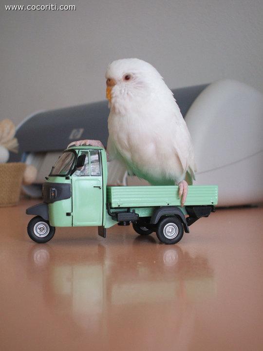 Un giro "ca lapa"!!!