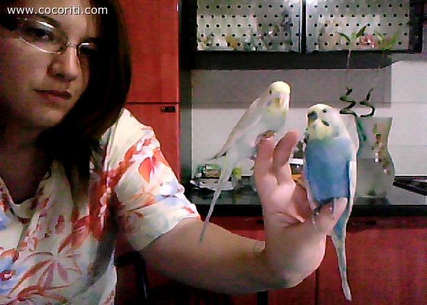 Tom e Kikka