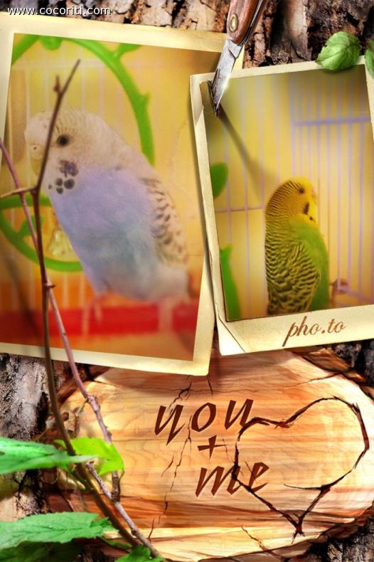 You + me