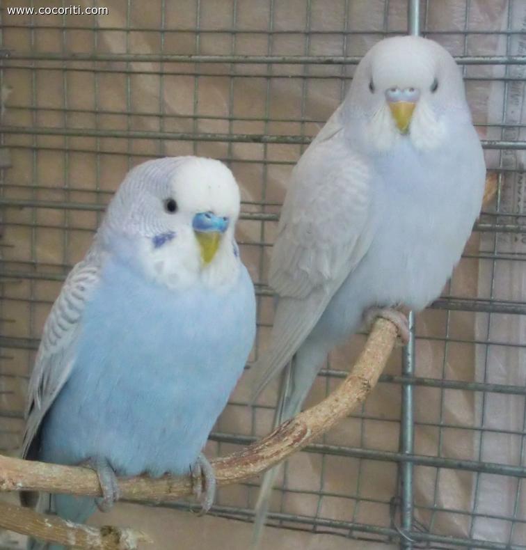 Padre e figlia