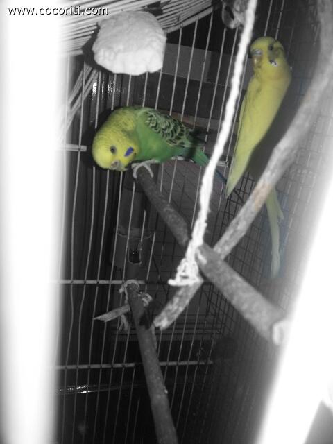 Camy&Ciupy