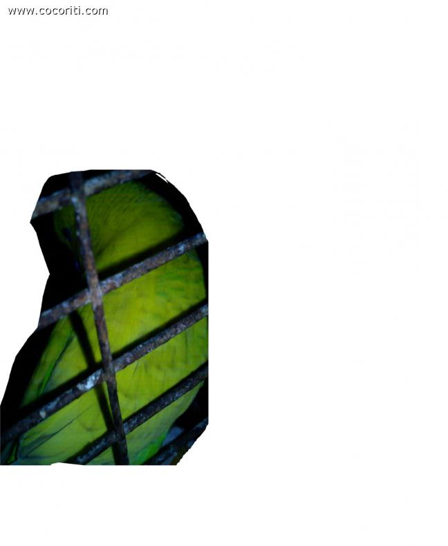 spangle?