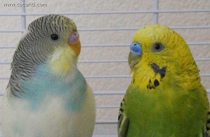 eccolii!!!!