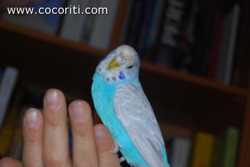 Ed ecco la sua più bella posa!