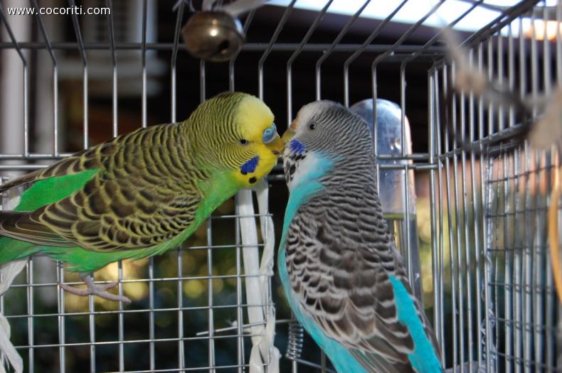San Valentino; non è mai troppo tardi