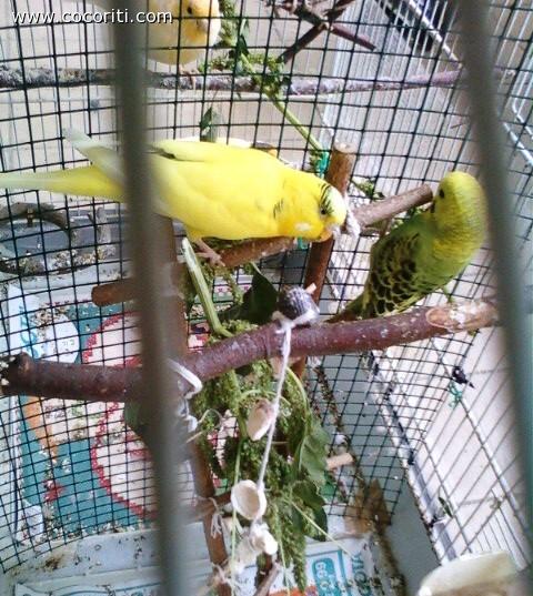 Camy&Ciupy