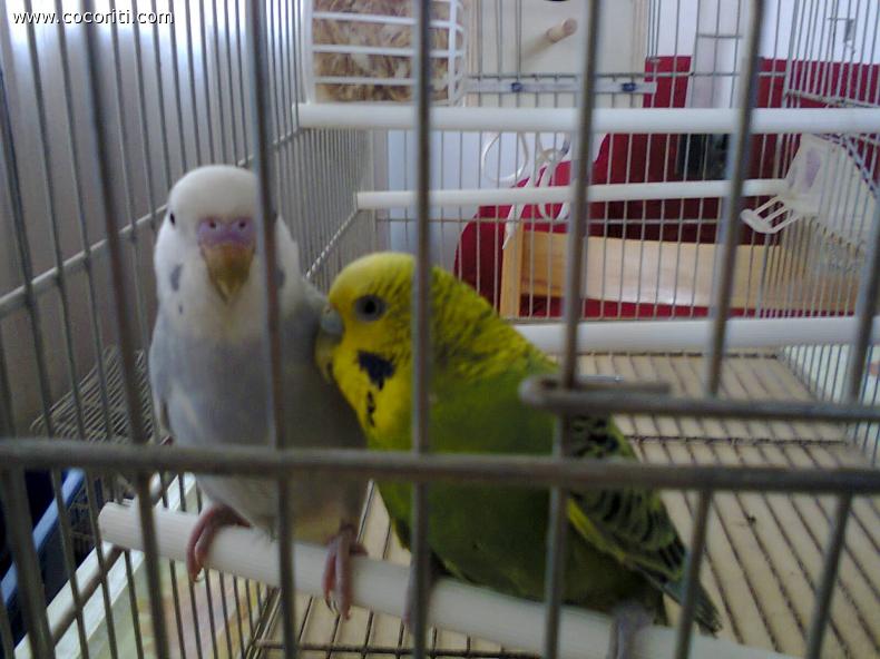 Coco e Rita