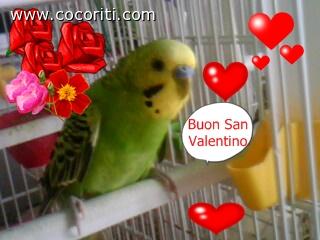Sono il piccolo di mamma