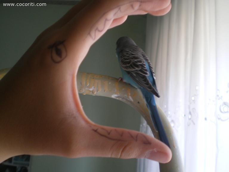 Blue e la sua amichetta mano! XD