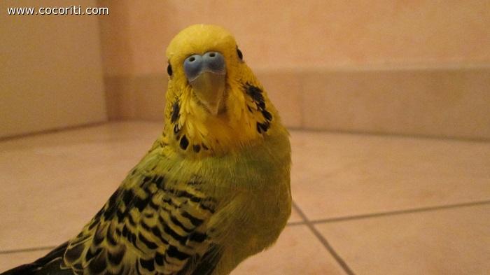 green quanto sei belloooo!!