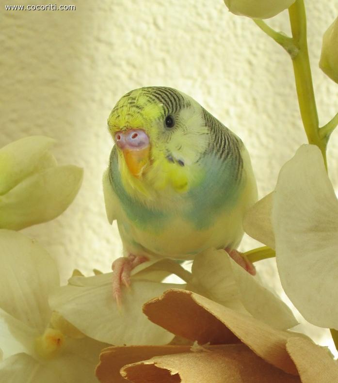 che dolce!!