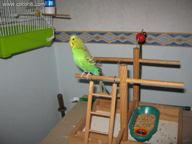 Ettore
