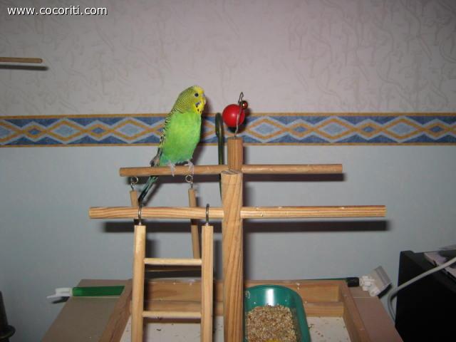 Ettore