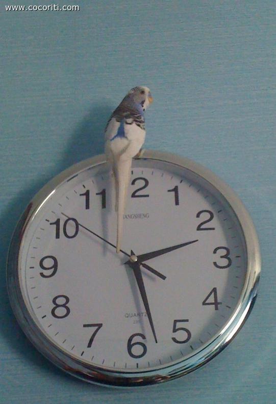 Orologio, che passione!