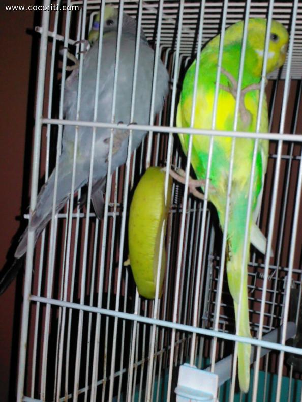 cattiva posizione per dormire