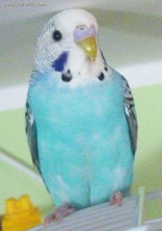 My love