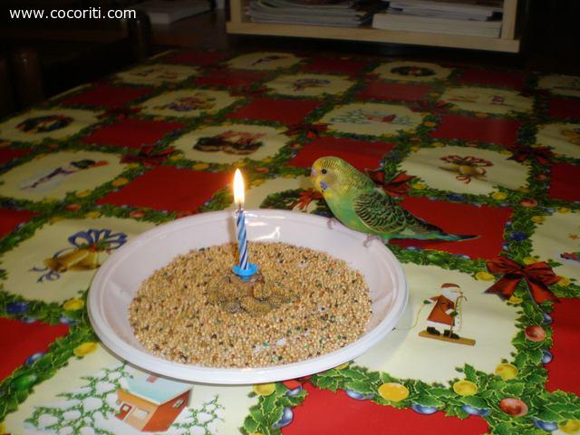 i primi due mesi di Martino..... Auguri!